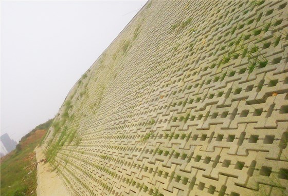 河道護(hù)坡磚機(jī)